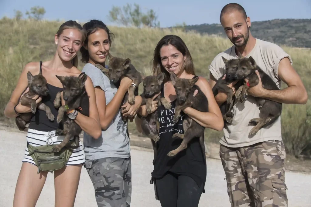 trabajar con animales, gran familia instintia