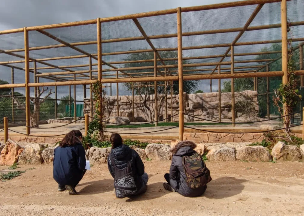 Práctica en centros de rescate, grupo de estudiantes observando recinto de animales salvajes