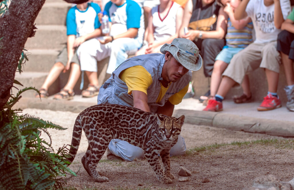 Centro Faunara. Formación especializada en fauna marina