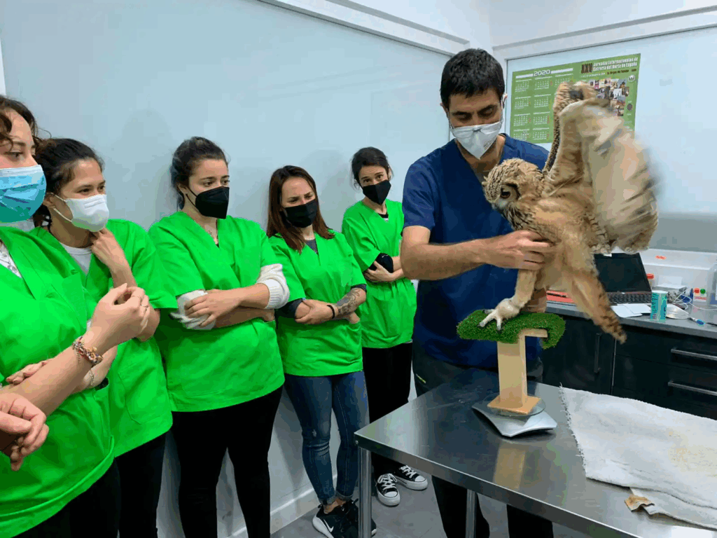 Centro Faunara. Formación especializada en fauna marina