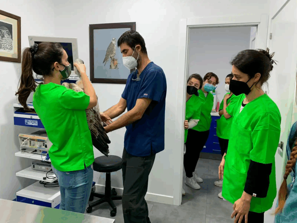 Centro Faunara. Formación especializada en fauna marina