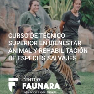 CURSO DE TÉCNICO SUPERIOR ESPECIALISTA EN FAUNA MARINA Y CONSERVACIÓN DE GRANDES ACUARIOS