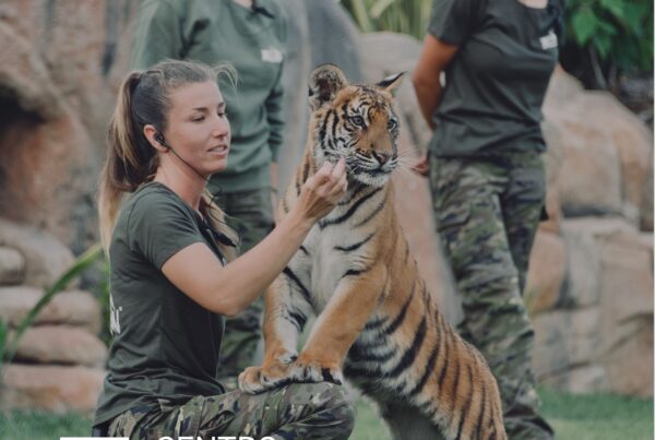 CURSO DE TÉCNICO SUPERIOR EN BIENESTAR ANIMAL Y REHABILITACIÓN DE ESPECIES SALVAJES