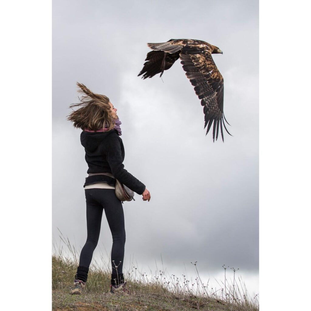 faunara curso con aguilas