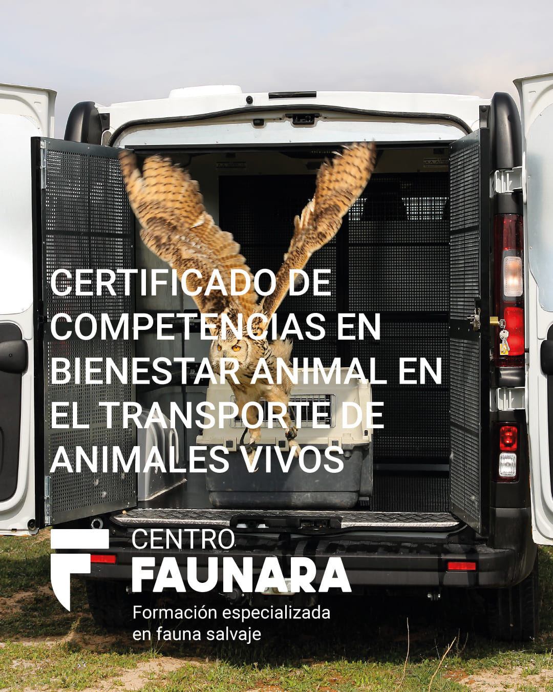 portada certificado bienestar