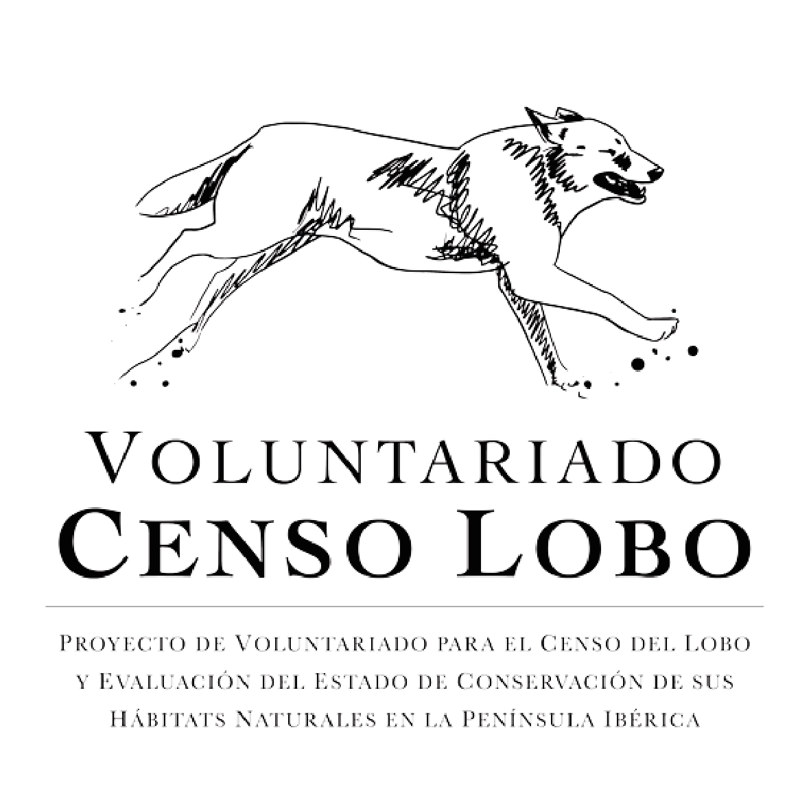 Logo colaboraciones faunara voluntariado