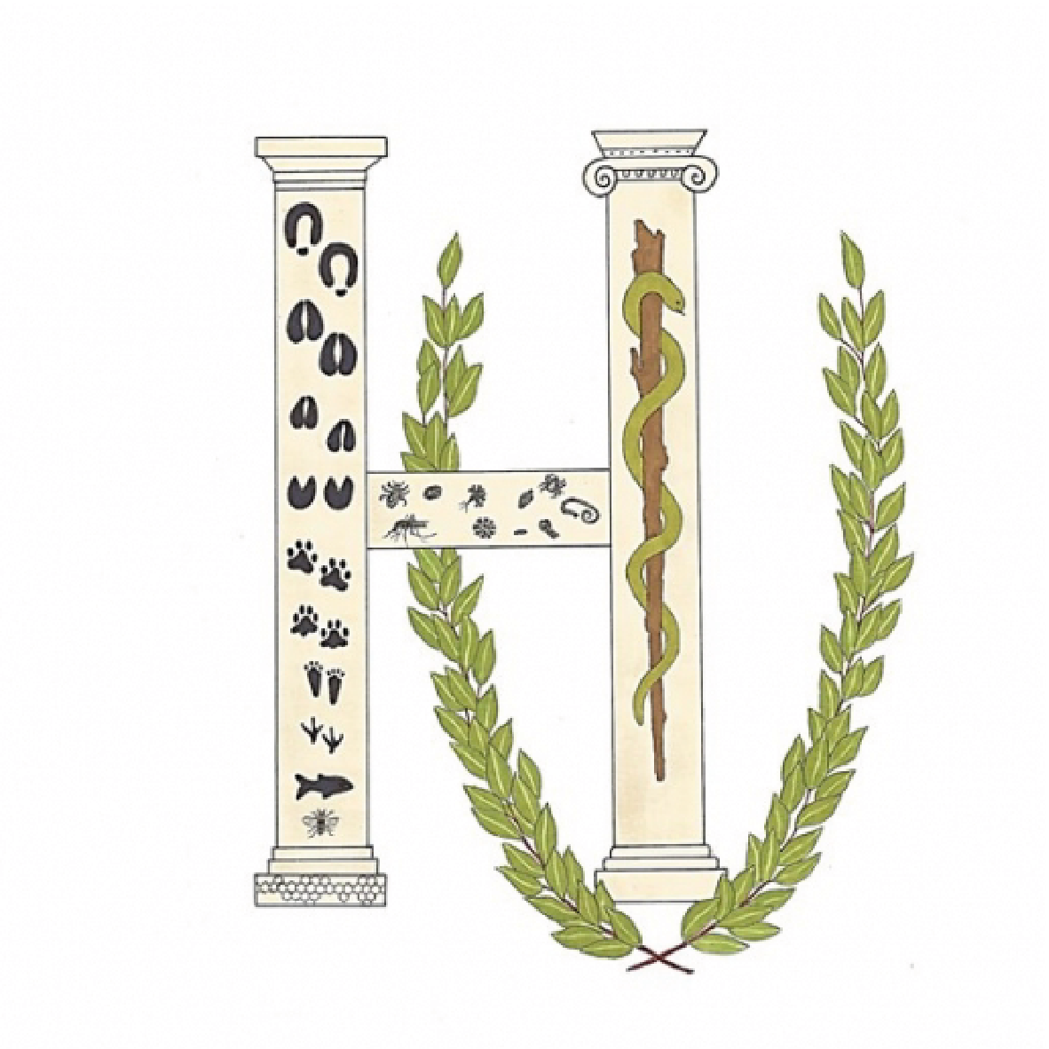 logo pagina colaboraciones faunara