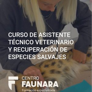 1. BONIFICACIÓN PAGO CONTADO 3.090€ | CURSO DE ASISTENTE TÉCNICO VETERINARIO Y RECUPERACIÓN DE ESPECIES SALVAJES